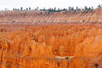 landscape in bryce canyon national park