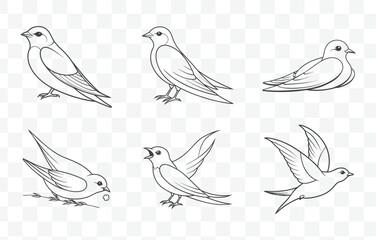 Fototapeta premium Print Swift Line Art Vector Set with Detailed and Elegant Designs for Creative Projects and Illustrations