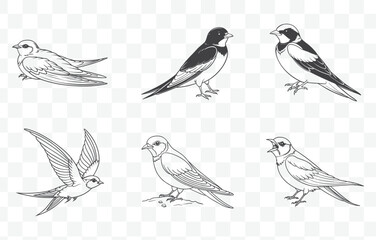 Swallow Line Art Vector Set Featuring Elegant and Detailed Bird Illustrations for Creative Design Projects