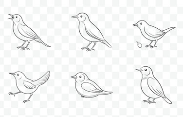 Warbler Line Art Vector Set with Intricate and Detailed Designs for Creative Projects and Illustrations
