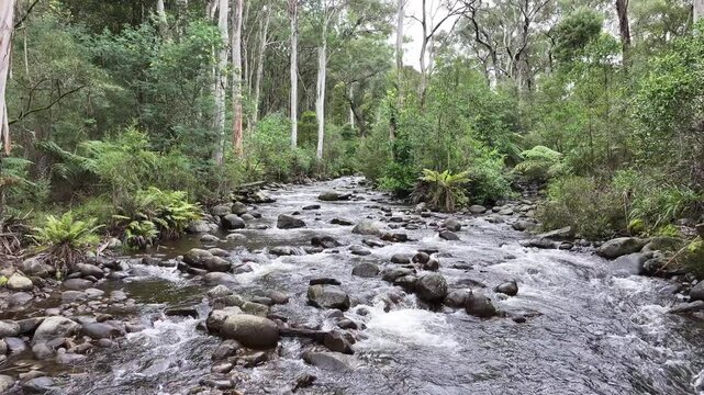 Aerial footage of Rubicon Victoria Australia and surrounds