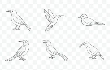 Print Sunbird Line Art Vector Collection Featuring Detailed Illustrations of Sunbirds in Various Poses and Styles