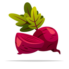 Beet root vegetable vector isolated illustration