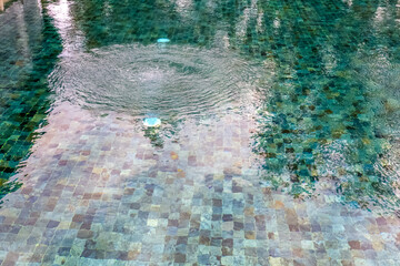 Eau cristalline de piscine 