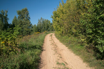Field road among summer meadows, Russia.
