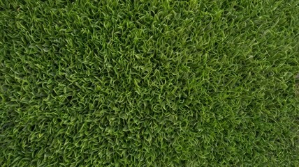 Fototapeta premium Artificial Green grass texture seamless background top