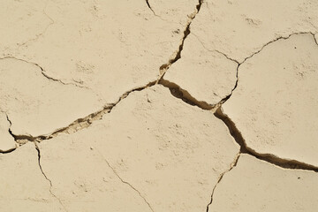 Cracked Beige Ground with Dry Soil Texture