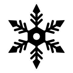 snowflake Solid icon