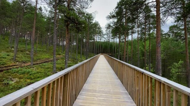 Hamaren Activity Park wooden walkway POV camera view 4K footage. Walking path surraunded pine trees forest during late summer windy day. Traveling and beauty of Scandinavia concept.