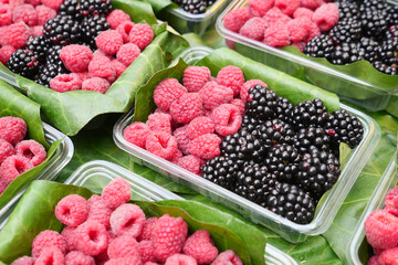 Colorful baskets display fresh raspberries and blackberries beautifully arranged at the market