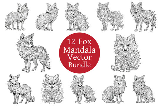 Fox Mandala Lineart Vector Bundle