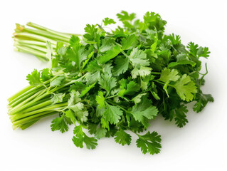 Fototapeta premium fresh coriander isolated on white background