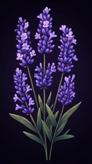 Obraz premium A lavender plant illustrated in cartoon art style, with bold outlines and playful colors, giving it a cheerful and whimsical vibe.
