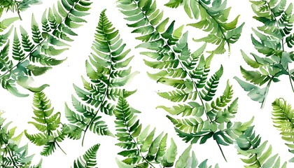 Elegant Watercolor Fern Leaves Design on Crisp White Canvas