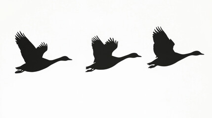 Obraz premium Flying Geese Silhouette.