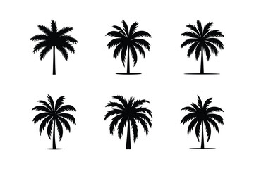 Elegant Palm Tree Vector Set. Black Silhouettes on White Background