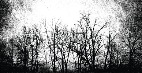 Winter forest with dead trees, Bare trees with branches on grunge background