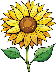 Fototapeta premium sunflower vector, Print