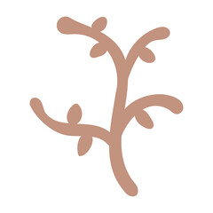 Fototapeta premium ゆるいタッチの茶色の植物イラスト⭐︎PNG