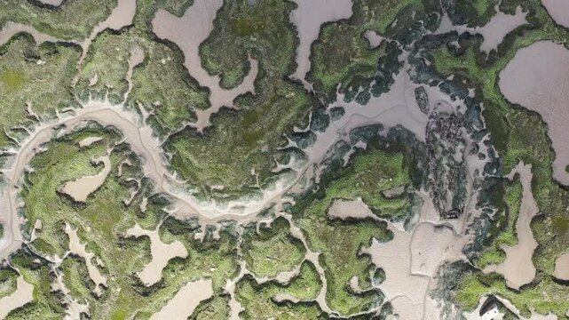 Top down aerial footage of a salt marsh estuary at low tide in the shape of a dragon, slowly scrolling from right to lef