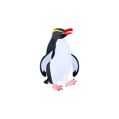 スネアーズペンギン（ハシブトペンギン）。水彩風イラスト。 Snares Islands penguin (Snares penguin). Watercolor style illustration.