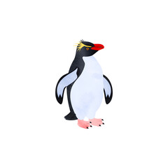 ミナミイワトビペンギン。水彩風イラスト。 Southern rockhopper penguin. Watercolor style illustration.
