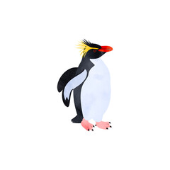 キタイワトビペンギン。水彩風イラスト。 Northern rockhopper penguin (Moseley’s rockhopper penguin). Watercolor style illustration.