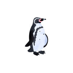 フンボルトペンギン。水彩風イラスト。 Humboldt penguin (Peruvian penguin). Watercolor style illustration.