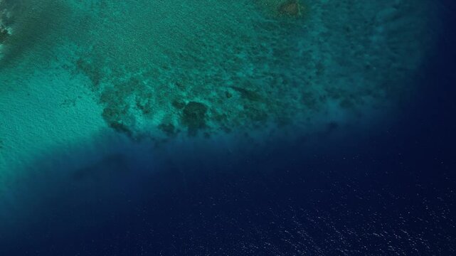 Aerial top down revealing coral reef in Indian Ocean coastline moheli island marine national park
