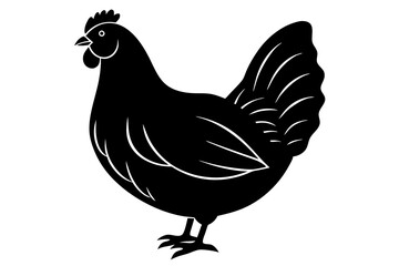 Chicken icon vector illustration. Black Chicken Silhouettes in Various Poses - Vector Farm Animal Illustrations.