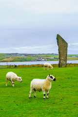 View of the Standing Stones of Stenness, Orkney Islands