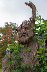 Obraz premium Abandoned old wooden viking sculpture.