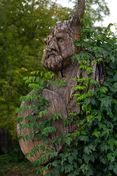 Abandoned old wooden viking sculpture.