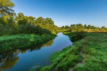 Fototapeta premium A river with trees on either side