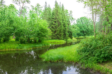 A winding stream meanders through a lush forest, surrounded by tall trees and verdant foliage. The water reflects the surrounding greenery, creating a tranquil and peaceful atmosphere.