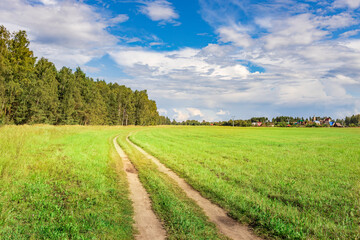 Fototapeta premium A dirt road runs through a lush green field