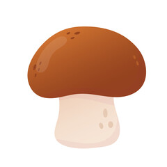 Porcini mushroom cartoon illustration. Edible mushroom. Isolated on white. 