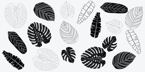 Chic black and white floral patterns with various flowers and leaves in a detailed, seamless design