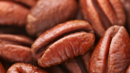 Close-up of pecan nuts