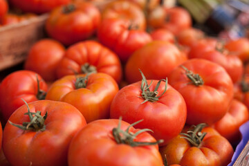 Fresh tomatoes on branch in wicker baskets on counter