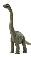 Obraz premium Brachiosaurus dinosaur isolated on white background