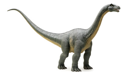 Fototapeta premium Brachiosaurus dinosaur isolated on white background