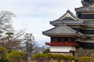 Matsumoto castle and cherry blossom trees beautiful views Japan