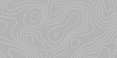 Topographic Wavy Line  Pattern Background. landscape Topo contour map on white background. Geographic mountain relief diagram line wave carve pattern. Contour abstract map relief land outline.