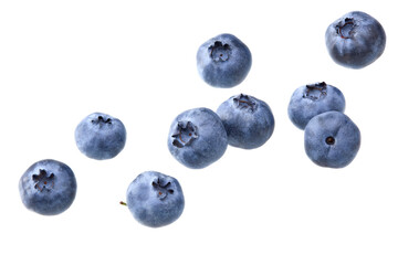 blueberries isolated on white background. clipping path