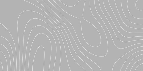 Topographic Wavy Line  Pattern Background. landscape Topo contour map on white background. Geographic mountain relief diagram line wave carve pattern. Contour abstract map relief land outline.