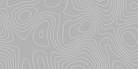 Topographic Wavy Line  Pattern Background. landscape Topo contour map on white background. Geographic mountain relief diagram line wave carve pattern. Contour abstract map relief land outline.