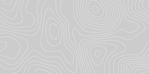 Topographic Wavy Line  Pattern Background. landscape Topo contour map on white background. Geographic mountain relief diagram line wave carve pattern. Contour abstract map relief land outline.