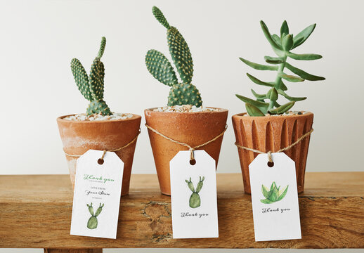 Cactus Pots Label Tags Mockup