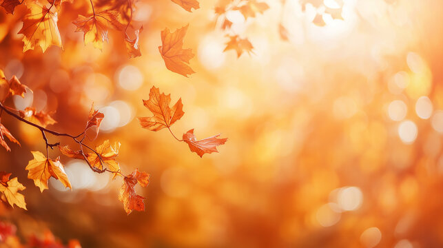 Herbstlicher Orangefarbener Hintergrund f&uuml;r Werbetexte Design